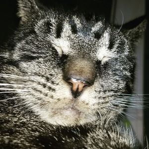 Meet your Posher, Jade